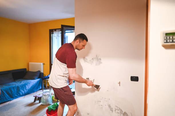 Best Mold Cleaning Services  in Bessemer City, NC